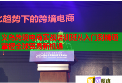 義烏跨境電商實(shí)戰(zhàn)培訓(xùn)班從入門到精通掌握全球貿(mào)易新機(jī)遇