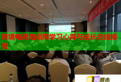 跨境電商培訓(xùn)周學(xué)習(xí)心得與成長(zhǎng)總結(jié)報(bào)告