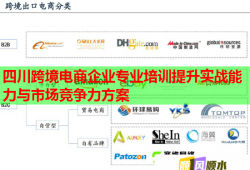 四川跨境電商企業(yè)專業(yè)培訓(xùn)提升實(shí)戰(zhàn)能力與市場(chǎng)競(jìng)爭(zhēng)力方案