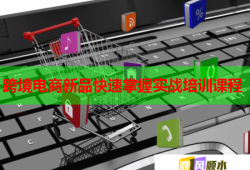 跨境電商新品快速掌握實戰(zhàn)培訓(xùn)課程