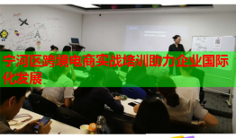 寧河區(qū)跨境電商實(shí)戰(zhàn)培訓(xùn)助力企業(yè)國(guó)際化發(fā)展