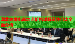 湖北跨境電商培訓(xùn)價(jià)格詳解及性價(jià)比全面分析