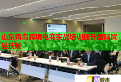 山東青島跨境電商實戰(zhàn)培訓提升國際貿(mào)易技能