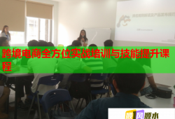 跨境電商全方位實(shí)戰(zhàn)培訓(xùn)與技能提升課程