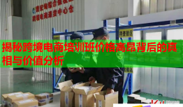 揭秘跨境電商培訓(xùn)班價(jià)格高昂背后的真相與價(jià)值分析