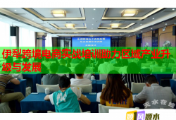 伊犁跨境電商實(shí)戰(zhàn)培訓(xùn)助力區(qū)域產(chǎn)業(yè)升級與發(fā)展