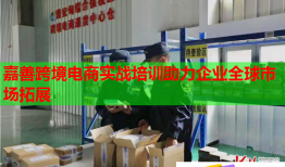 嘉善跨境電商實戰(zhàn)培訓(xùn)助力企業(yè)全球市場拓展