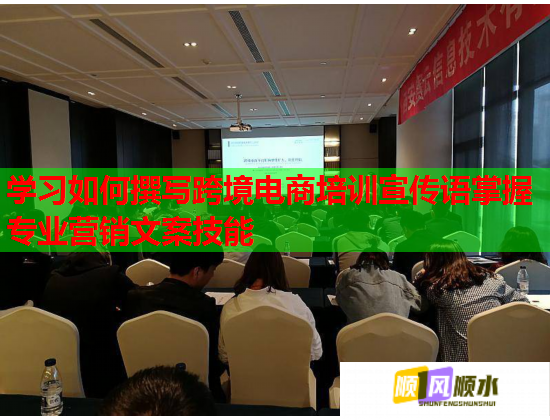 學(xué)習如何撰寫跨境電商培訓(xùn)宣傳語掌握專業(yè)營銷文案技能