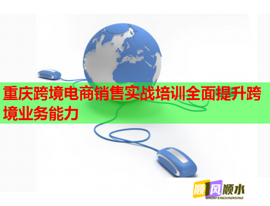 重慶跨境電商銷(xiāo)售實(shí)戰(zhàn)培訓(xùn)全面提升跨境業(yè)務(wù)能力