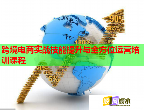 跨境電商實戰(zhàn)技能提升與全方位運營培訓(xùn)課程