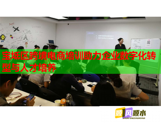 寶坻區(qū)跨境電商培訓助力企業(yè)數(shù)字化轉(zhuǎn)型與人才培養(yǎng)