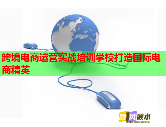 跨境電商運(yùn)營實(shí)戰(zhàn)培訓(xùn)學(xué)校打造國際電商精英