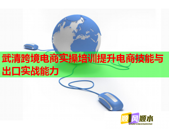 武清跨境電商實操培訓提升電商技能與出口實戰(zhàn)能力