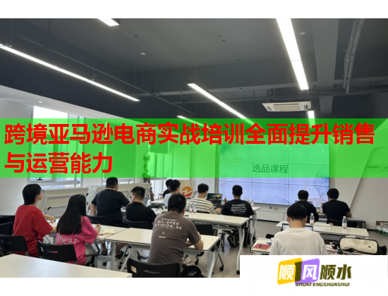 跨境亞馬遜電商實戰(zhàn)培訓全面提升銷售與運營能力