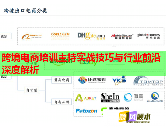 跨境電商培訓(xùn)主持實戰(zhàn)技巧與行業(yè)前沿深度解析