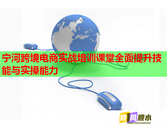 寧河跨境電商實戰(zhàn)培訓(xùn)課堂全面提升技能與實操能力