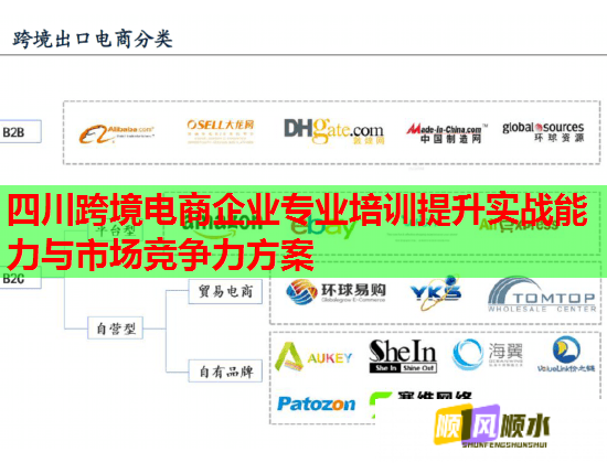 四川跨境電商企業(yè)專業(yè)培訓(xùn)提升實戰(zhàn)能力與市場競爭力方案