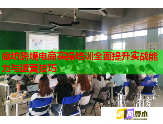 廊坊跨境電商實操培訓全面提升實戰(zhàn)能力與運營技巧